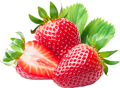 Strawberry from 세르비아 supplied by Menex - Organic 신선 딸기
