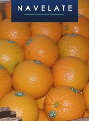 Orange from Uruguay supplied by Urud'or S.A. - Navel - Cara Cara (=Pink Navel=Red Navel=Power Orange) Fresh Orange