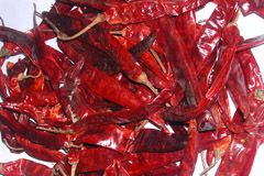Chili from 인도 supplied by Chandrashekhar Exports Private Limited - Red 말린 통고추