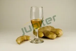 Ginger Oil from 중국 supplied by Jupiter International Ltd - Pure 진저 오일