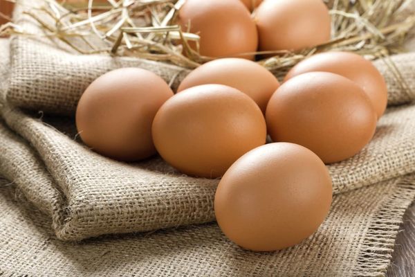 Fresh Chicken Egg from Hungary supplied by Farm Tojás Kft. - In Shell Chicken Egg
