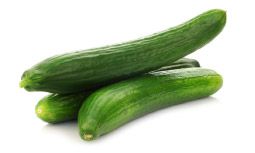 Fresh Cucumber from Spain supplied by INDO-IBERICA PTD LTD - Green Fresh Cucumber