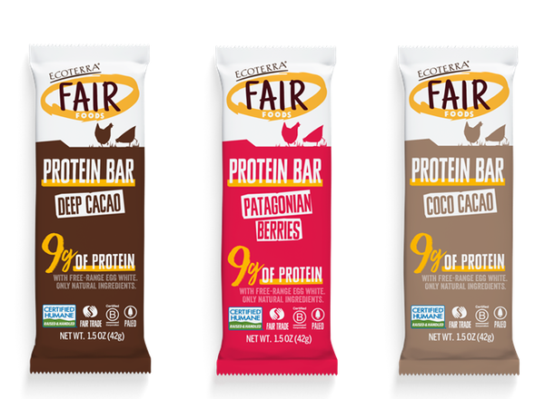 Protein Bars (9gr of Egg-white protein per serving) from 칠레 supplied by Ecoterra Spa - Individually Wrapped (=IW) 농축훼이단백