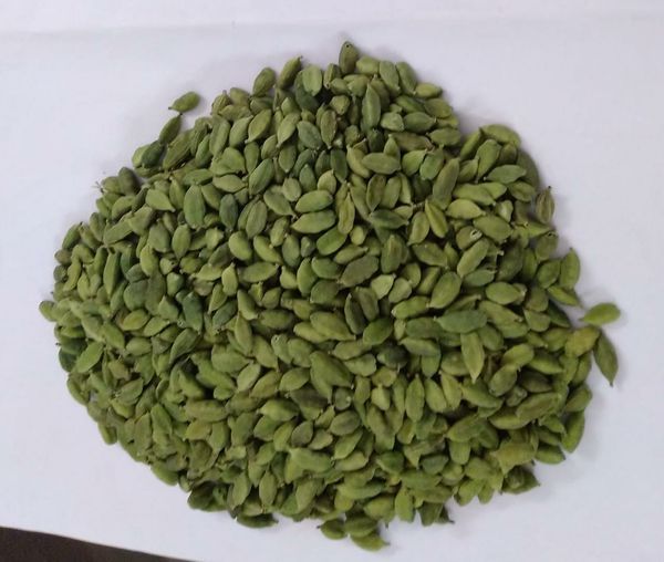 Cardamom from 인도 supplied by SVM EXPORTS - 그린 카다멈 카다멈