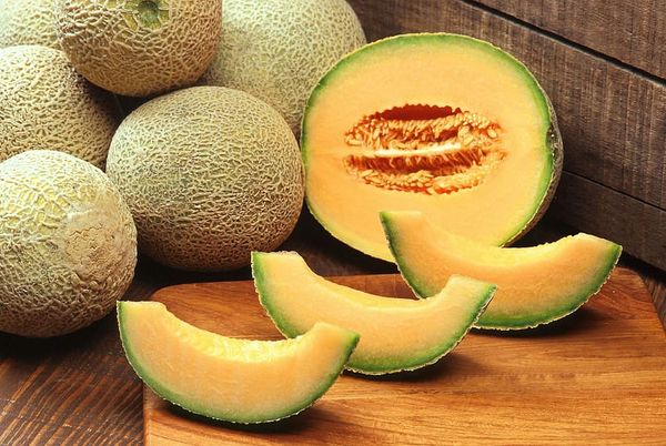 Melon from 멕시코 supplied by Agrícola Bay - Whole 신선 멜론(머스크 멜론)