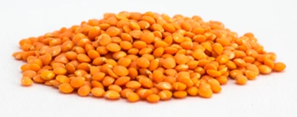 Red Lentil from 파키스탄 supplied by H.S. Group - 레드 렌틸 말린 렌틸
