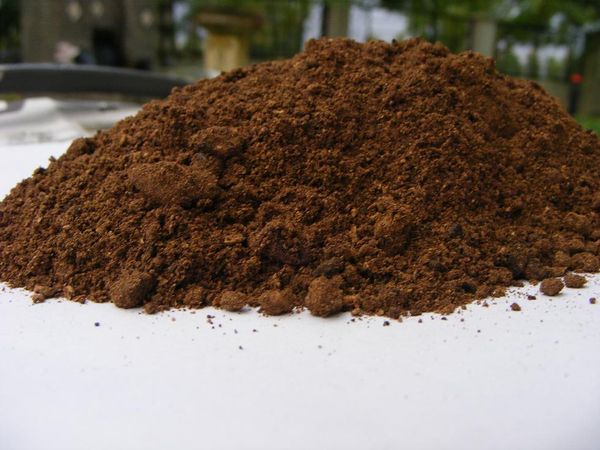 Palm Kernel Expeller (Meal) from Indonesia supplied by Boymaxwell Indojaya Grup Ltd. - Medium Quality Palm Kernel Expeller