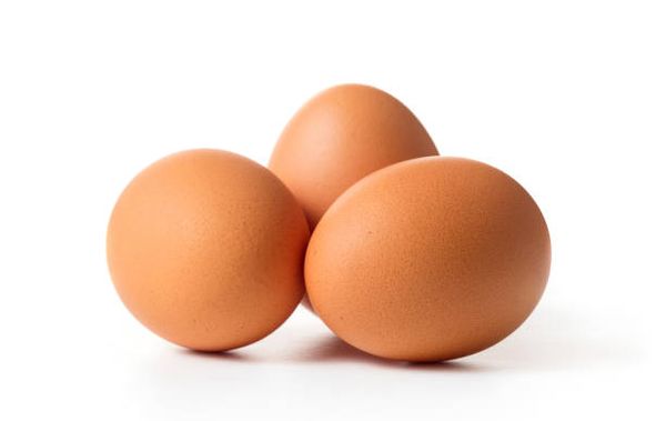 Chicken Egg from Germany supplied by Hephata Hessisches Diakoniez. e.V - Fresh Chicken Egg