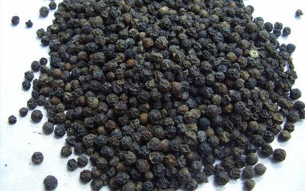 black pepper from Sri Lanka supplied by euro west export (pvt)ltd - Black Whole Black Peppercorn