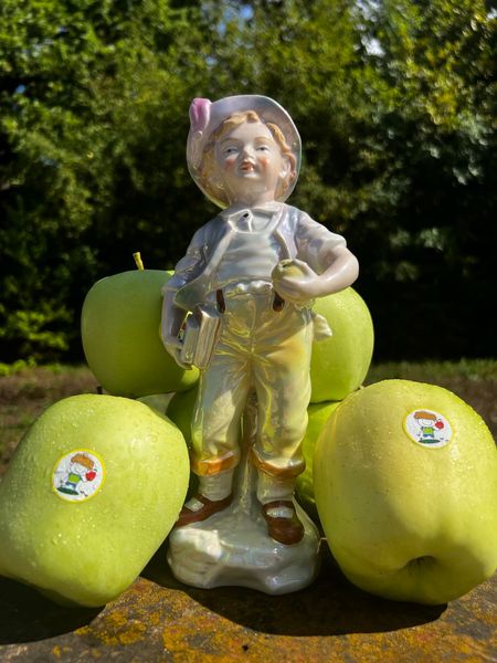 Apple Golden Delicius from 우크라이나 supplied by ASC DARY BEREGIVSCHYNY - 1등급 - 엑스트라 신선 사과