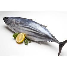 Fresh Tuna from Sri Lanka supplied by JAY SEAFOODS PROCESSING - Yellowfin Tuna (=Thunnus albacares =Ahi) Tuna