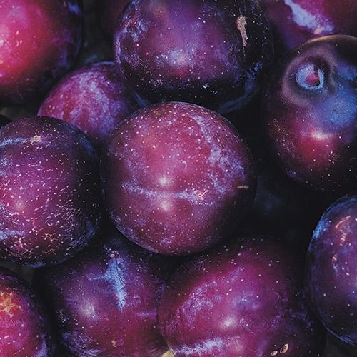 Plum from Chile supplied by Exportadora del SUR SA - Black Fresh Plum
