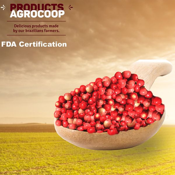 Spices and Conditions from 브라질 supplied by Agrocoop - Seed 핑크 페퍼콘