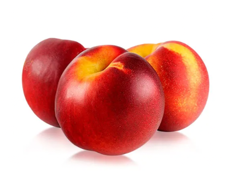 Nectarine from 스페인 supplied by Explum S.c. - Whole 신선 천도복숭아