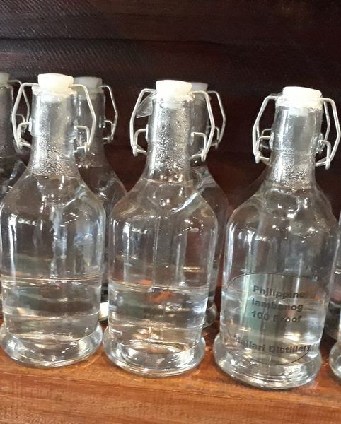 Lambanog (Coconut Sap Wine) from 필리핀 supplied by Mallari Distillery - 기타 와인