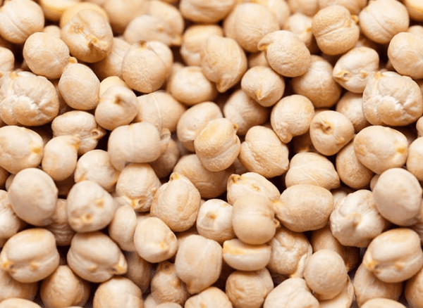 Chickpeas from 인도 supplied by Agrocrops Exim Limited - Kabuli 말린 병아리콩