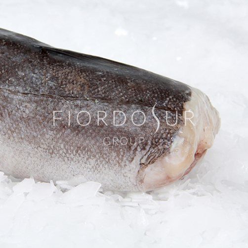 Hake from 칠레 supplied by FRIGORIFICO FIORDOSUR S.A. - IVP (Individually Vacuum Packed) 냉동 헤이크