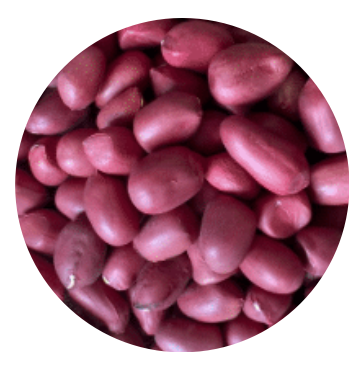 Vietnam Organic Peanut from 베트남 supplied by Viet Haus Ltd. - 땅콩 알맹이