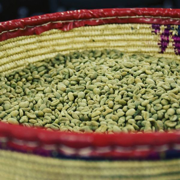 washed coffee beans from 에티오피아 supplied by Mormora Coffee - Dried 생원두