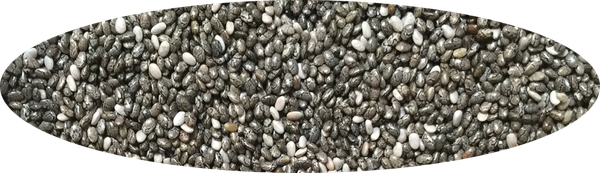 Natural Chia seeds from 우간다 supplied by Shares! Uganda Ltd - PP Bags (25kg) 치아 씨