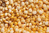 Quinoa from Bolivia supplied by City Srl - Black Quinoa