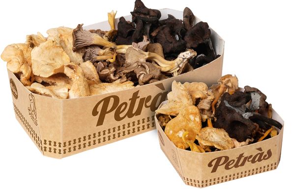 Fresh Mushroom from 스페인 supplied by Petras Bolets - Fresh (=Chilled) 기타 신선 버섯류