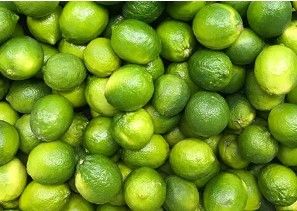 Limes from Australia supplied by Tou's Garden Pty Ltd - Green Fresh Lime