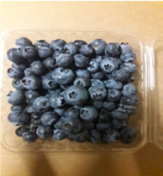 Fresh Blueberry from 멕시코 supplied by MexWorld Consulting - Whole 신선 블루베리