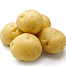 fresh potatoes from 이집트 supplied by Global Fruit LLC - Whole 신선 일반 감자