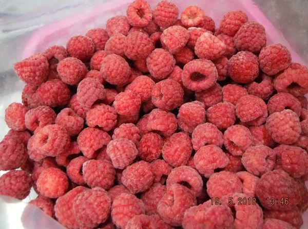 Frozen Raspberry from 미국 supplied by Congeladora Anahuac, LLC - 원물 냉동 라즈베리