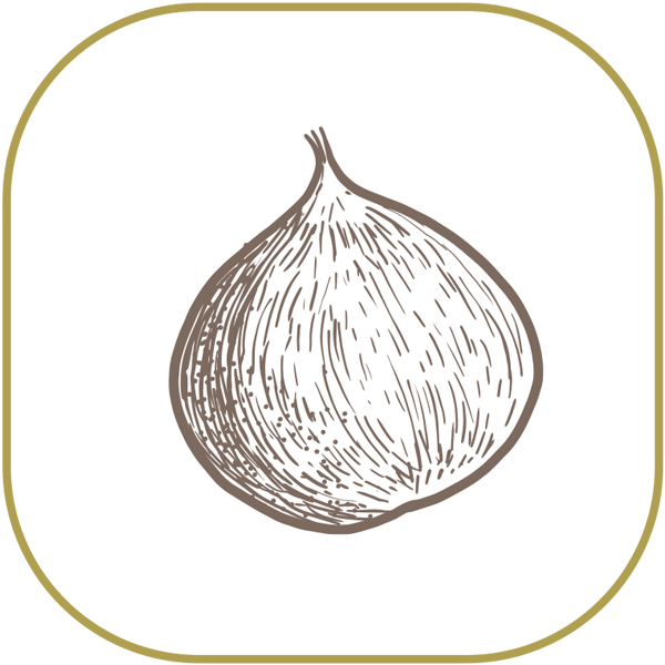 Fresh Chestnut from Greece supplied by Hatzisalatas S.A. - Whole Chestnut Kernel