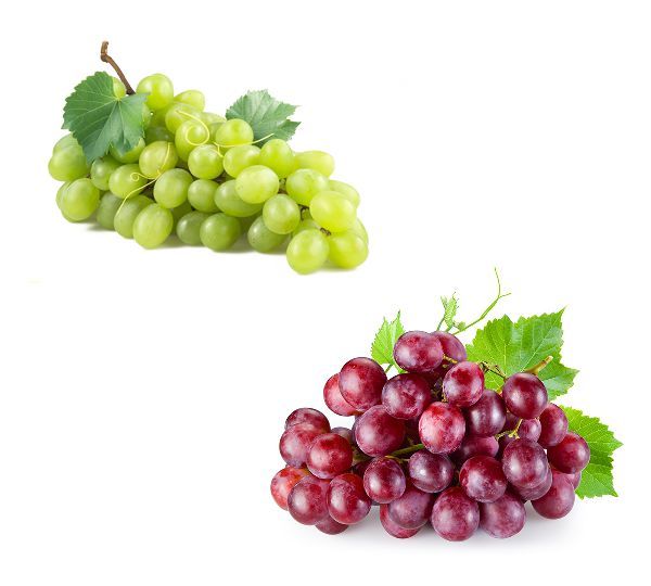 Grape from Netherlands supplied by Masr fruit - Seedless Fresh Grape