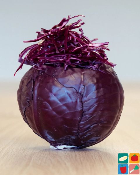 Red Cabbage from 네덜란드 supplied by Fris-Co Fruit & Vegetables BV - Red 신선 양배추
