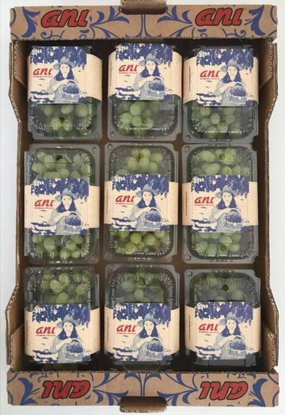 Grape from 튀르키예 supplied by Anı Tarım Fresh Fruits - Carton Box (=Cardboard Box) 신선 포도