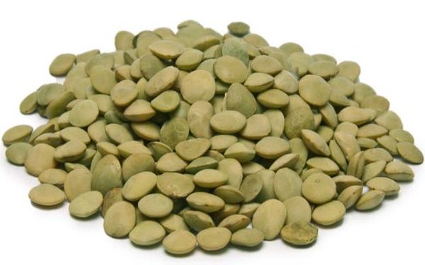 Lentils from United Arab Emirates supplied by Mellow Trading LLC - Kabuli Dried Lentil