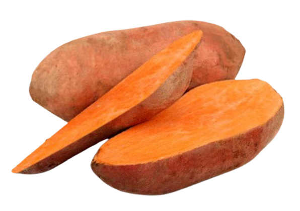 Sweet Potato from 코스타리카 supplied by Tropifoods EIAE S.A. - Carton Box (=Cardboard Box) 고구마