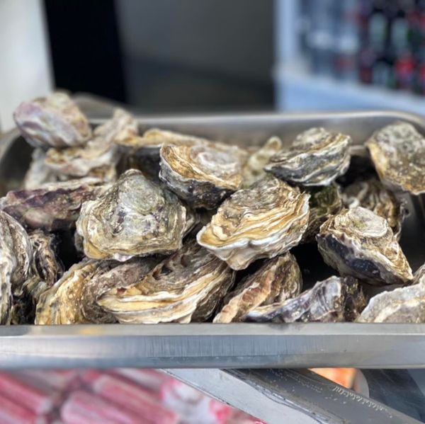 Fresh Oyster from United Kingdom supplied by The Netshop Jellied Eel Bar - Whole (=In Shell=Unshucked) Fresh Oyster