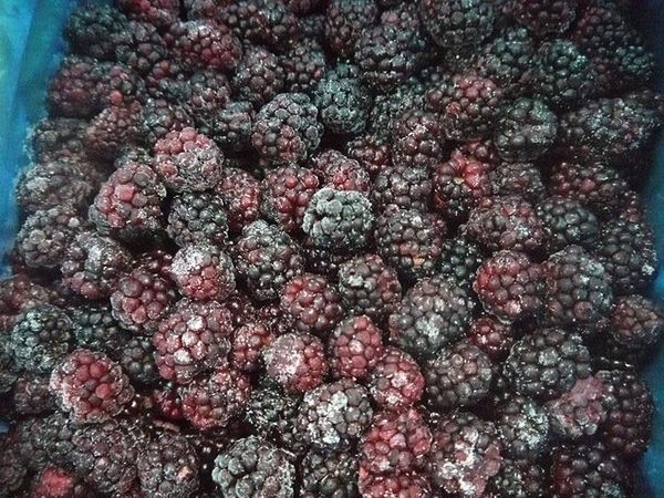 Blackberry from 중국 supplied by SFI ASIA CO LTD - Frozen 냉동 블랙베리