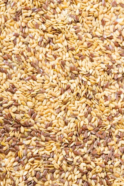 Flaxseed from Germany supplied by NATURKOST UEBELHOER GMBH & CO. KG - Unspecified Flax Seed