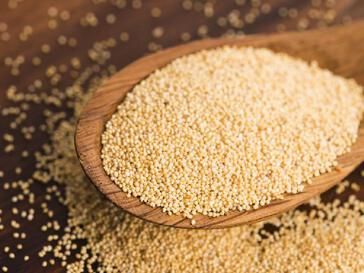Poppy Seed from 폴란드 supplied by Enterprise Express - Blue (=Black) 양귀비 씨