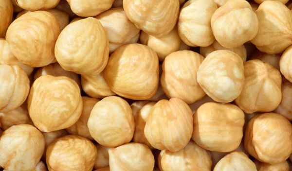 Blanched Roasted Hazelnut Kernels from 아제르바이잔 supplied by Nutsoil LLC - High Quality 헤이즐넛 알맹이