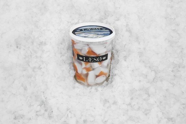 Surimi from 네덜란드 supplied by Laeso Fish Ltd - 스틱 기타 수산물 가공품