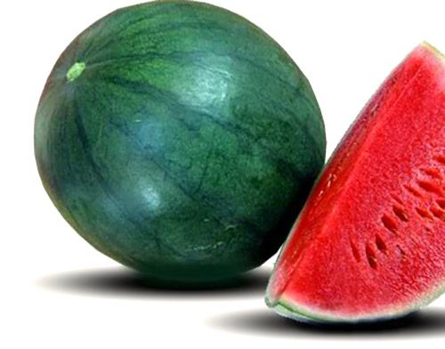 Seedless Watermelon from 브라질 supplied by Coopyfrutas Cooperativa dos Fruticultores da Bacia Potiguar - Seedless 신선 수박