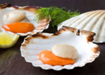 Scallop from Ireland supplied by Food Trade International Ltd - Fresh (=Chilled=Raw) Frozen Scallop