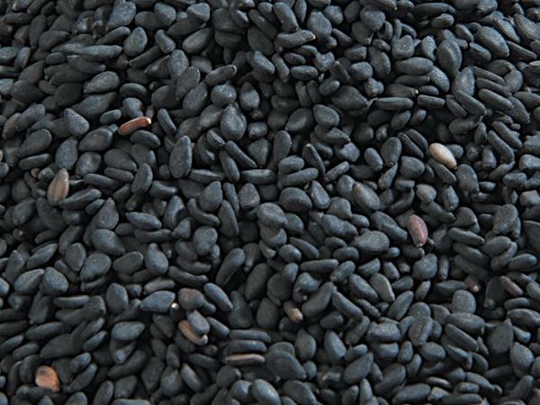 Black Sesame Seeds from 인도 supplied by ORGANIC PRODUCTS INDIA - Veeral Agro Tech - Black 참깨
