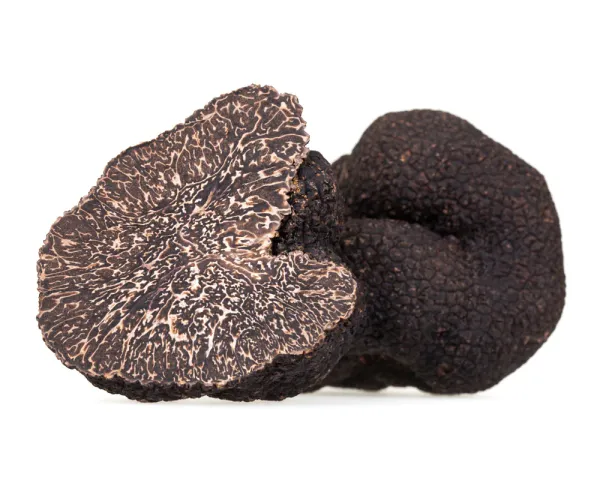 Fresh Black Winter Truffles from 미국 supplied by Sabatino North America, LLC - Winter 트러플