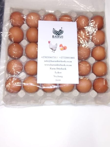 Fresh Egg from South Africa supplied by Barui-Driehoek Cooperative Ltd - Cage-free (=Barn-laid) Chicken Egg