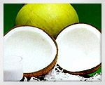 Coconut Milk from 태국 supplied by NAKORN FOOD CO.,LTD. - FAQ (=Fair Average Quality) 코코넛밀크