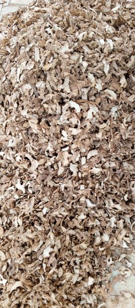 Dry Split Ginger from 나이지리아 supplied by TCH Solutions Nigeria limited - 크기: 250 통생강