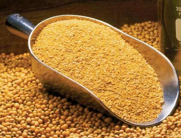 Soybean Meal from 미국 supplied by Enerfo USA, Inc. - Brown 대두박